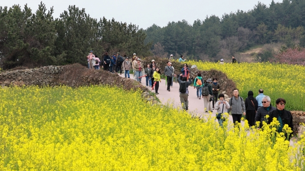 ▲완도 청산도 슬로길 전경(사진제공=완도군)