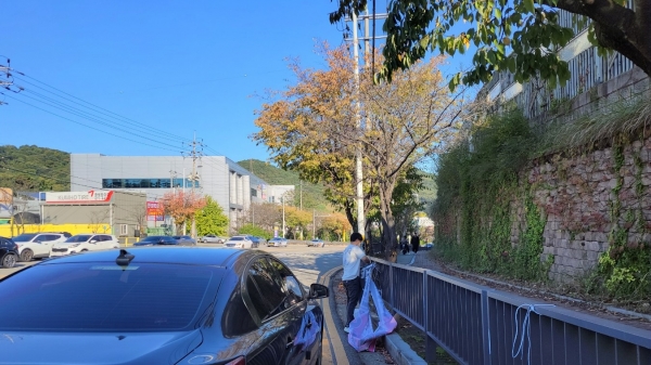 ▲불법 현수막 정비(사진제공=광주광역시)