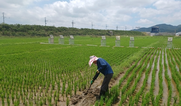 ▲저탄소 농가(사진제공=전라남도)