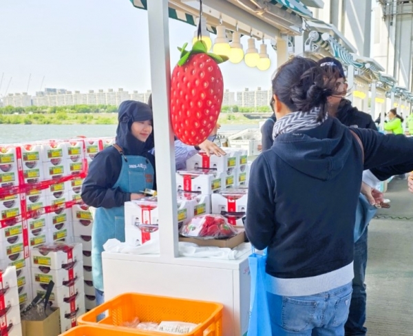 ▲지난 행사 현장(사진제공=장성군)