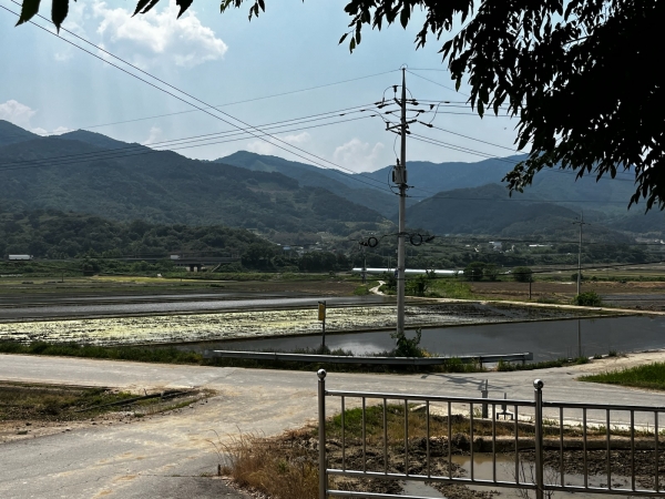 ▲곡성군 석곡면 당지마을 내 농경지(사진제공=곡성군)