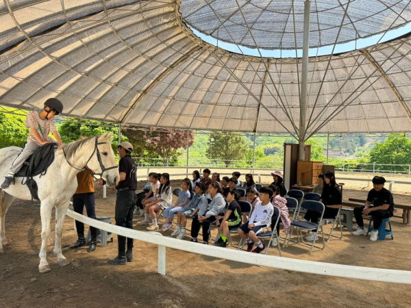▲순천시 학생승마 참가자들이 순천승마장에서 승마교육을 받고 있다.(사진제공=순천시)
