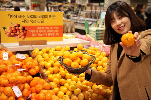 크기변환_가로1 청정 제주 감귤.JPG