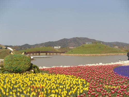 크기변환_정원박람회장 툴립.jpg