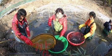크기변환_토하잡이1.JPG