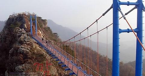 제목 없음.jpg