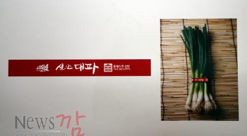 크기변환_대파.JPG