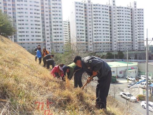 크기변환_왕조2동 식목행사 개나리 식재.jpg