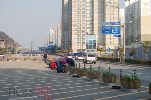 크기변환_관광안내소 삼거리 식재중.JPG