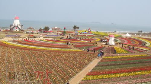 크기변환_튤립축제.JPG