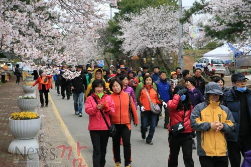 크기변환_140402-영암왕인문화축제 건강걷기대회9-5.jpg