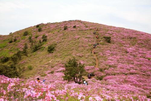 크기변환_일림산 (4).JPG