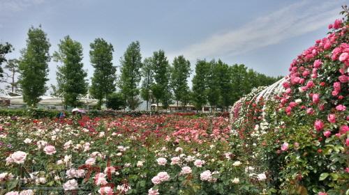 크기변환_변환_20140526_114111_HDR.jpg