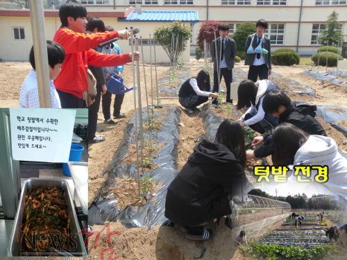 크기변환_금산중-생태텃밭+체험장.jpg