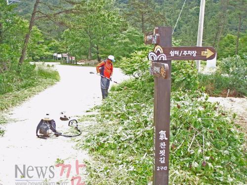 크기변환_140528-영암군 힐링 산책길 기찬묏길 정비2.jpg