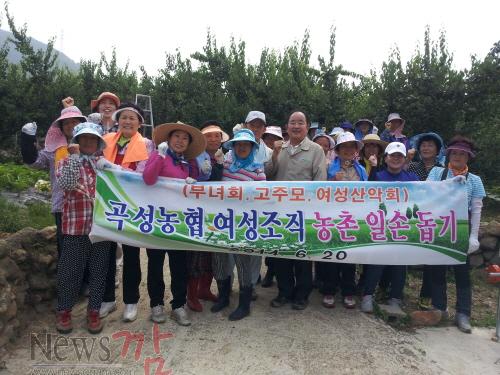 크기변환_매실단체2 (1).jpg