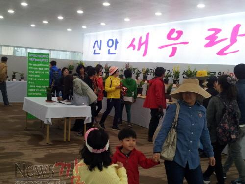 크기변환_새우란전시회.jpg