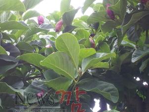 크기변환_2014-07-05 14.47.49.jpg