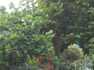 크기변환_2014-07-05 14.47.57.jpg