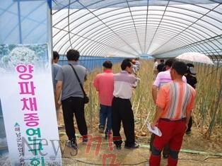 크기변환_25-양파채종[1].JPG