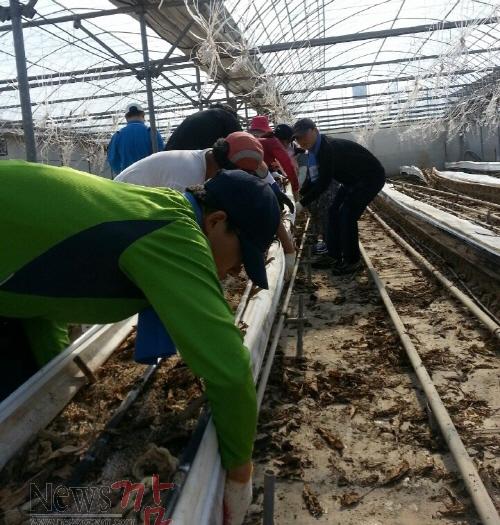 크기변환_하우스농가돕기1[1].jpeg