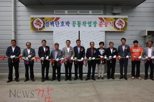 크기변환_겸백단호박공동작업장[1].JPG