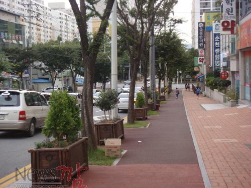 크기변환_꽃사진1[1].jpg