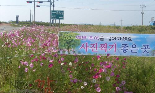 크기변환_운남면_꽃길6[1].JPG