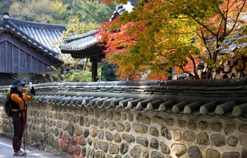크기변환_24-단풍0_(1)[1].jpg