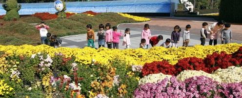 크기변환_지난해 국향대전 사진 (1).JPG