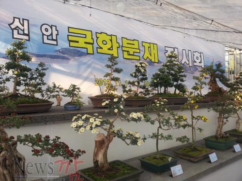 크기변환_국화분재전시회_사진_2[1].jpg