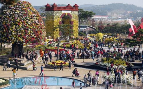 크기변환_2014 대한민국 국향대전 (1).JPG