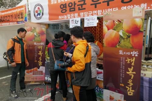 크기변환_141203-대봉감 사주기 운동1.jpg