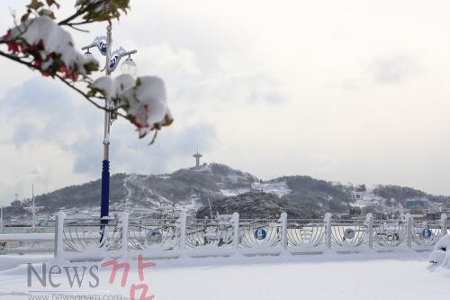 크기변환_완도군 기상관측이래 최고 적설량을 기록하며 완도군 일원이 설원으로 변했다..JPG