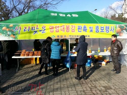크기변환_141217-영암대봉감 판촉 행사.jpg