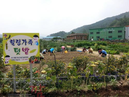 크기변환_힐링+가족텃밭+홍보+사진.jpg