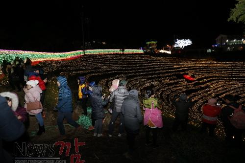 크기변환_보성군2015보성차밭빛축제성료 (1).JPG