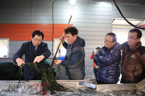 크기변환_신우철 완도군수와 일행들이 금당 미역가공공장을 방문하여 현장 점검을 하고 있다 (1).JPG