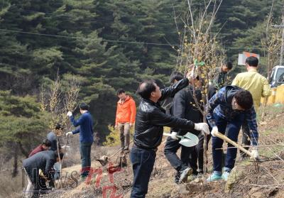 크기변환_150327 청원 나무심기 행사5.JPG