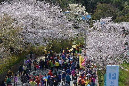 크기변환_꽃 피는 유달산 축제.JPG