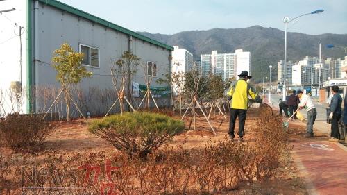 크기변환_31-구교리모퉁이 숲 (1).jpg