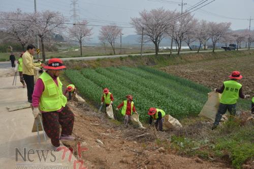 크기변환_순창 0409 - 농촌폐비닐 일제수거 DSC_2377.JPG