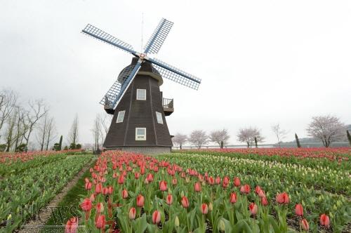 크기변환_순천만정원4.jpg