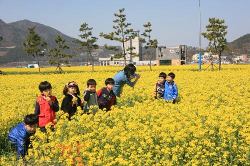 크기변환_법성포 유채꽃밭 (3).jpg