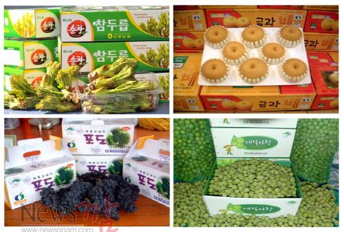 크기변환_순창 0410 - 농특산물 유통포장재 지원.jpg