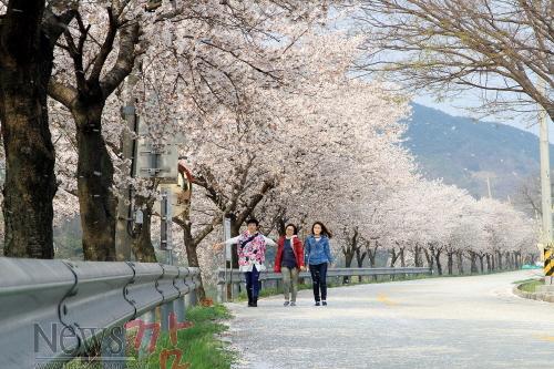 크기변환_0414 산림과 - 요천강 100리 아름다운 숲길로 변신(산동변)3_크기변경.jpg