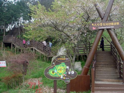 크기변환_수산봉 도시산림공원 (2).JPG
