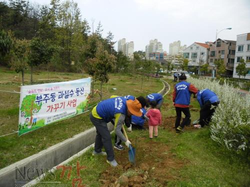 크기변환_부주동과실수동산조성.JPG