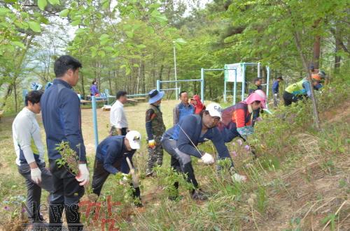 크기변환_순창 0429 - 도시녹화운동 - 그린우드 철쭉DSC_3954.JPG