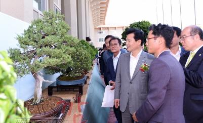 크기변환_분재전시회.jpg